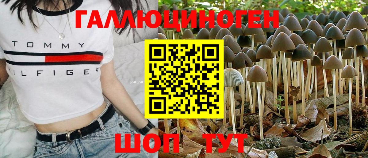 Галлюциногенные грибы прущие грибы Уварово
